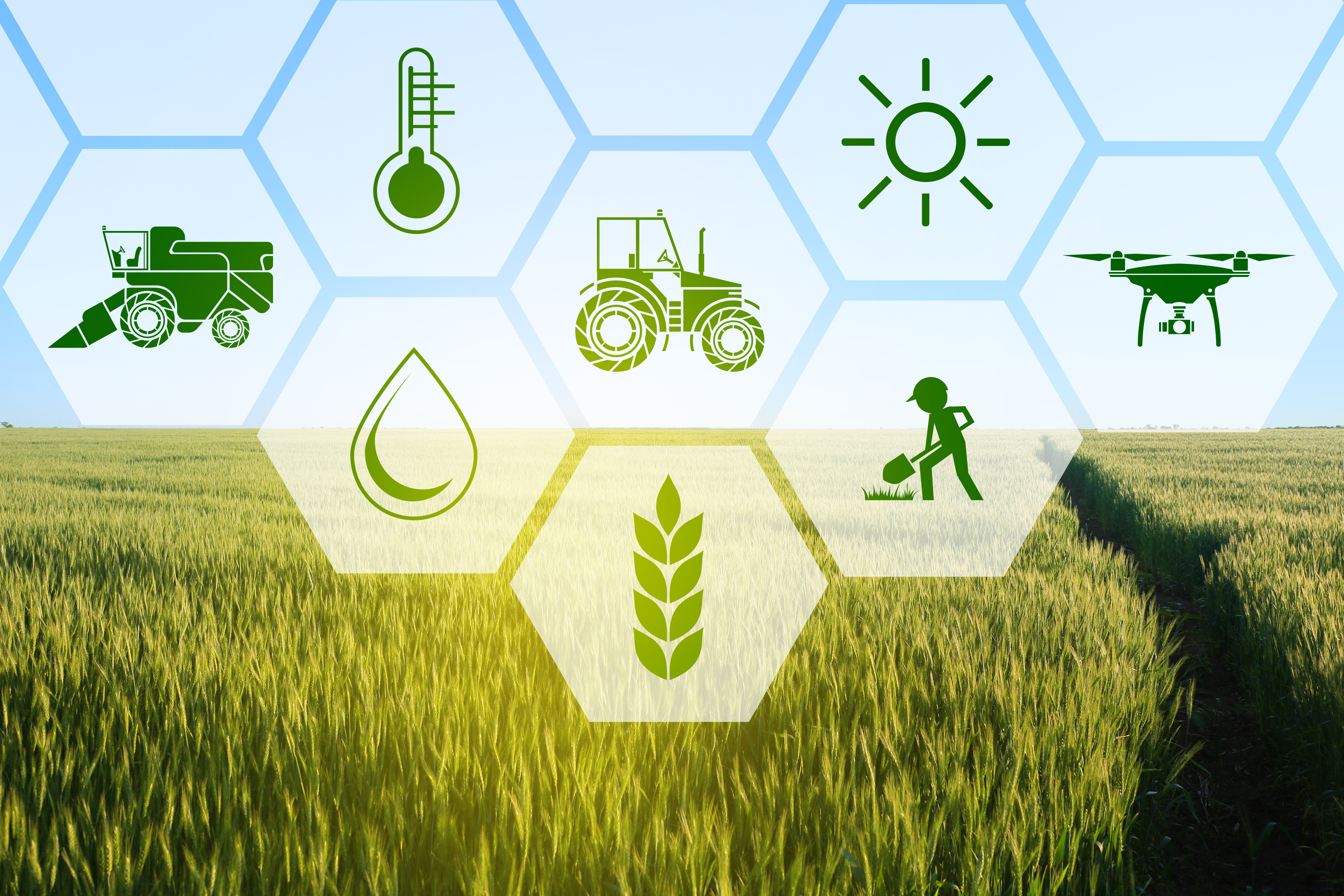 agriculture ecoprime2